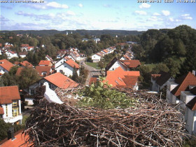 Obraz podglądu z kamery internetowej Bad Waldsee